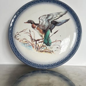 Large dish