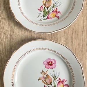 assiette en porcelaine