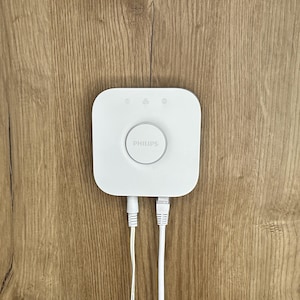 Philips Hue Bridge wall mount hidden