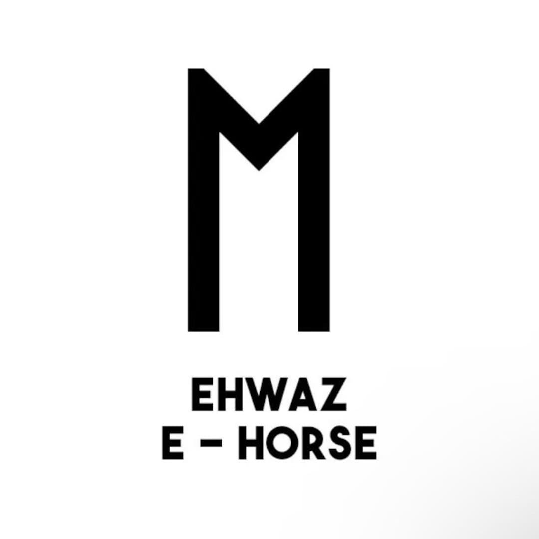 Viking Horse Rune Vinyl Decal Sticker - Door, Wall, Gaming Laptop, PC ...