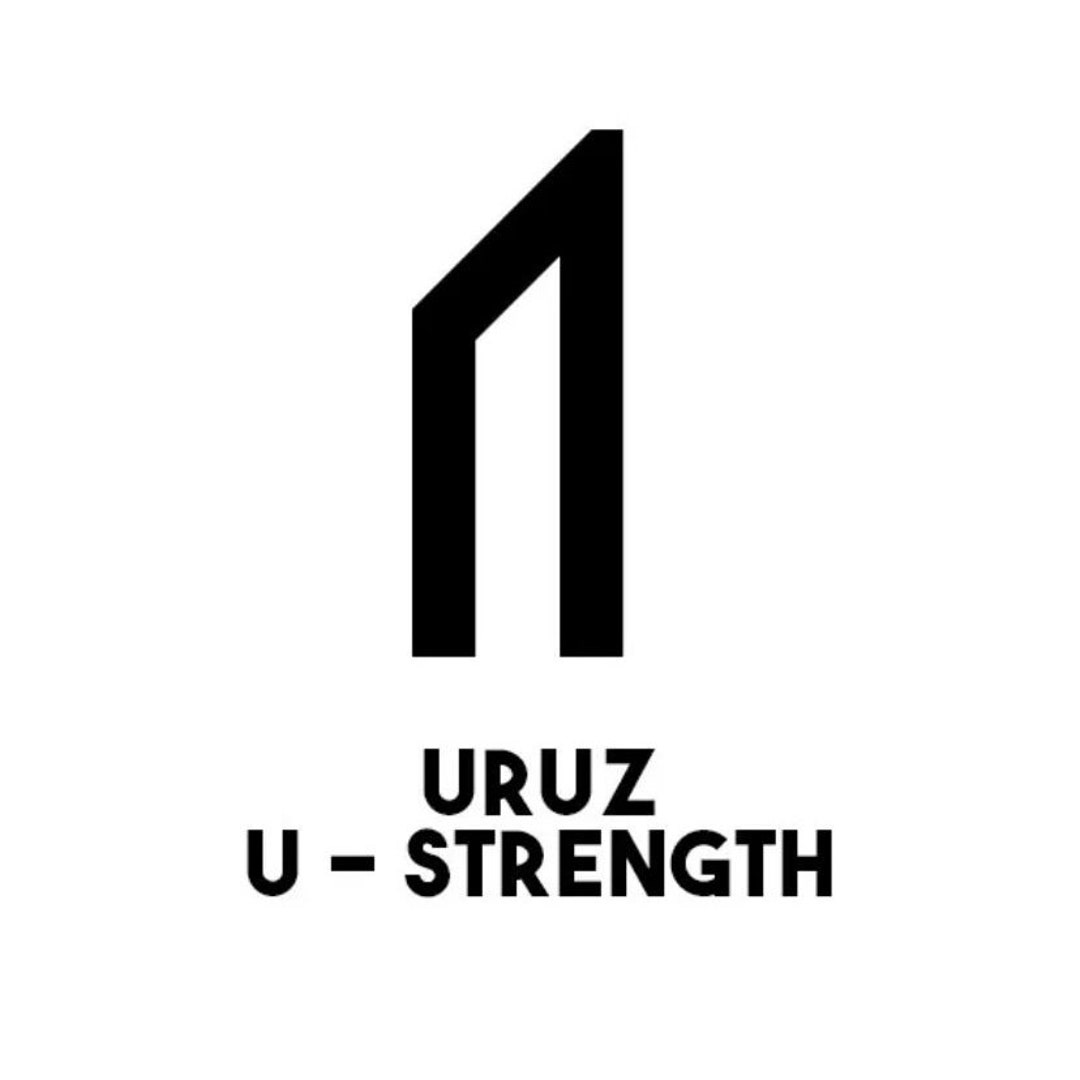 Norse Pagan Viking Strength Rune Vinyl Decal Sticker - Door, Wall ...