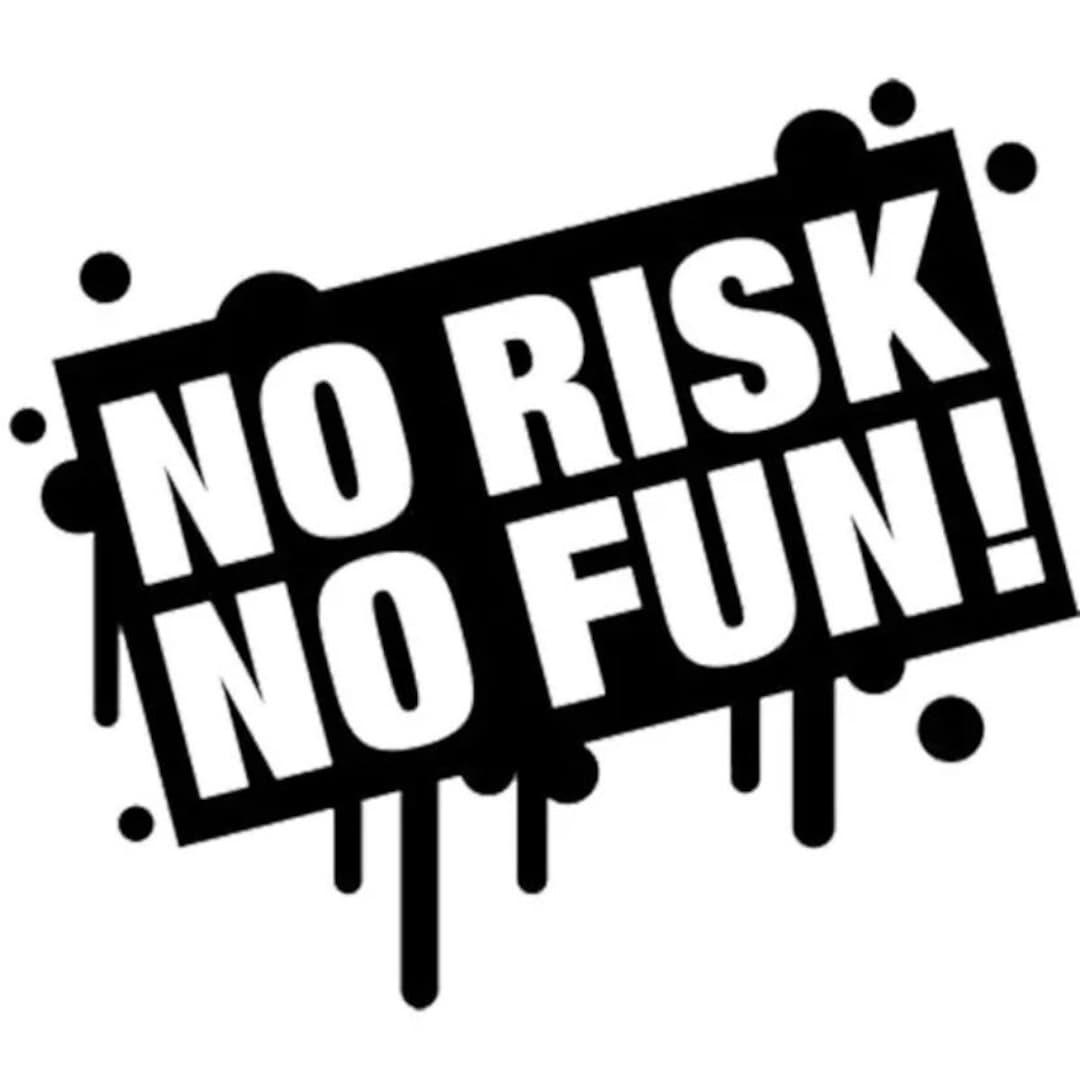 No Risk No Fun Motivational Quote Vinyl Decal Sticker for Wall, Door, Gaming Laptop PC, Bike