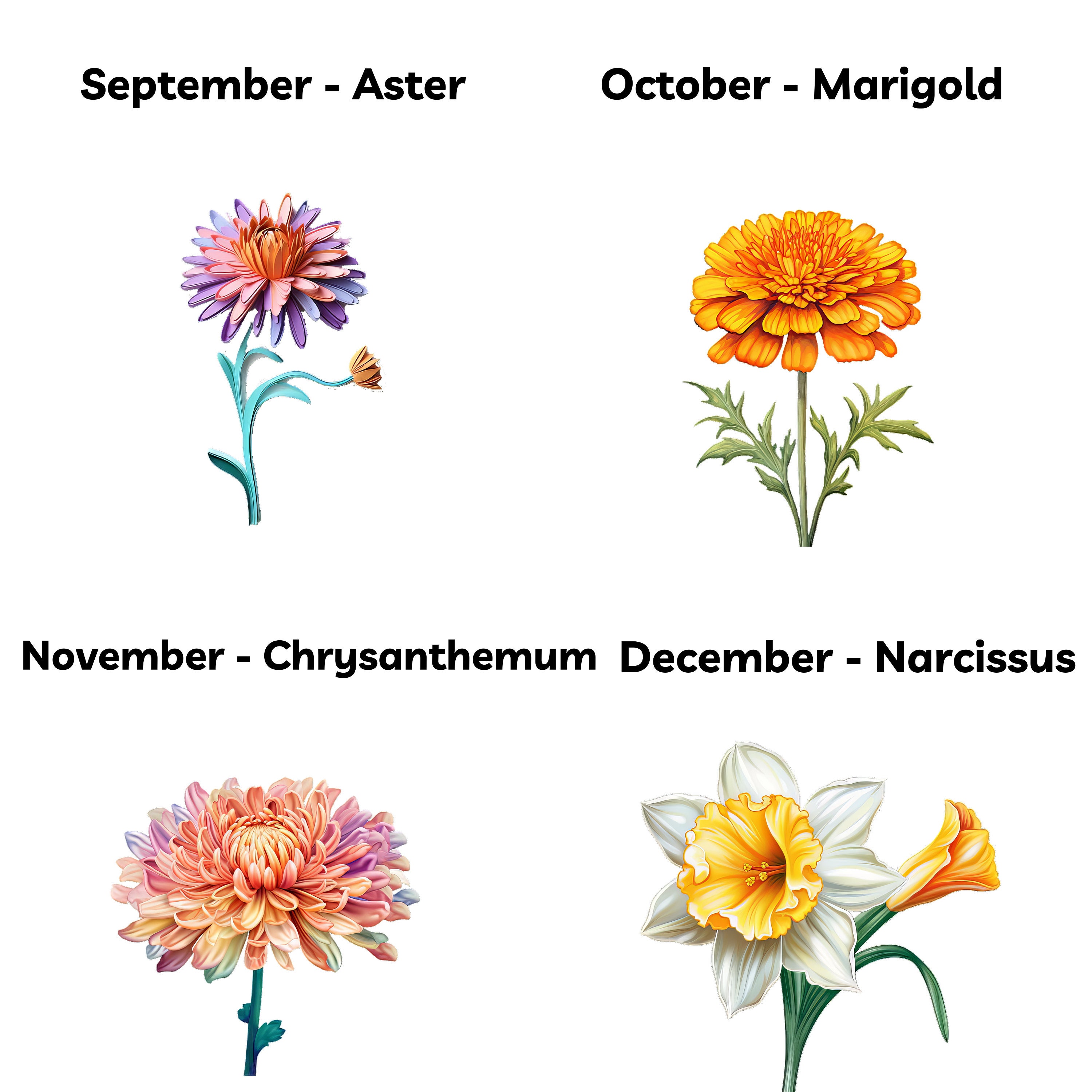 Birth Flower Mug, Birth Flower Gift, August Birth Flower Mug, Gladiolus, Birth Month Flower