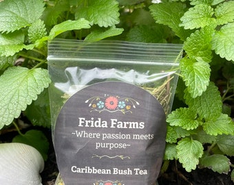 Caribbean Bush Tea