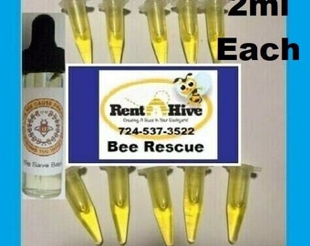 Honeybee Swarm Lure 10 pack honey bee scent beehive hive bait box trap beekeeper
