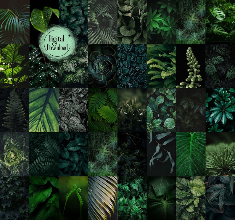 150 Pcs Green Collage Kit, Dark Green Aesthetic Collage Kit, Botanical ...