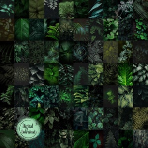 150 Pcs Green Collage Kit, Dark Green Aesthetic Collage Kit, Botanical Collage Kit for Plant Lovers, Printable Collage, College Dorm Decor