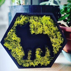 Logo con muschio in 3D