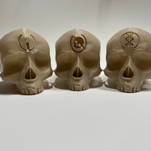 Collectible Halo Campaign Skulls