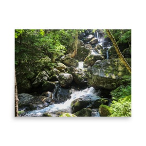 Lush Waterfall - White Mountains, New Hampshire