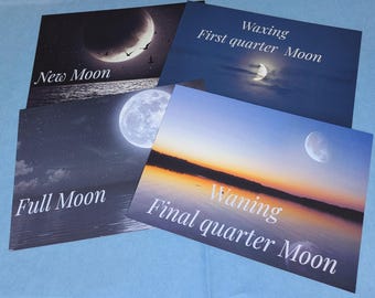Moonlight and Motherhood: Moonlit Journey through Pregnancy