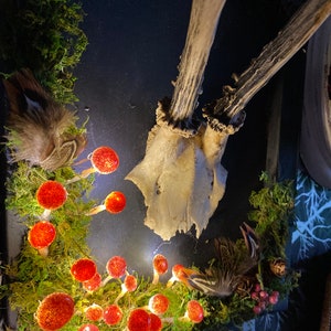 Roe deer skull cap gothic artwork.