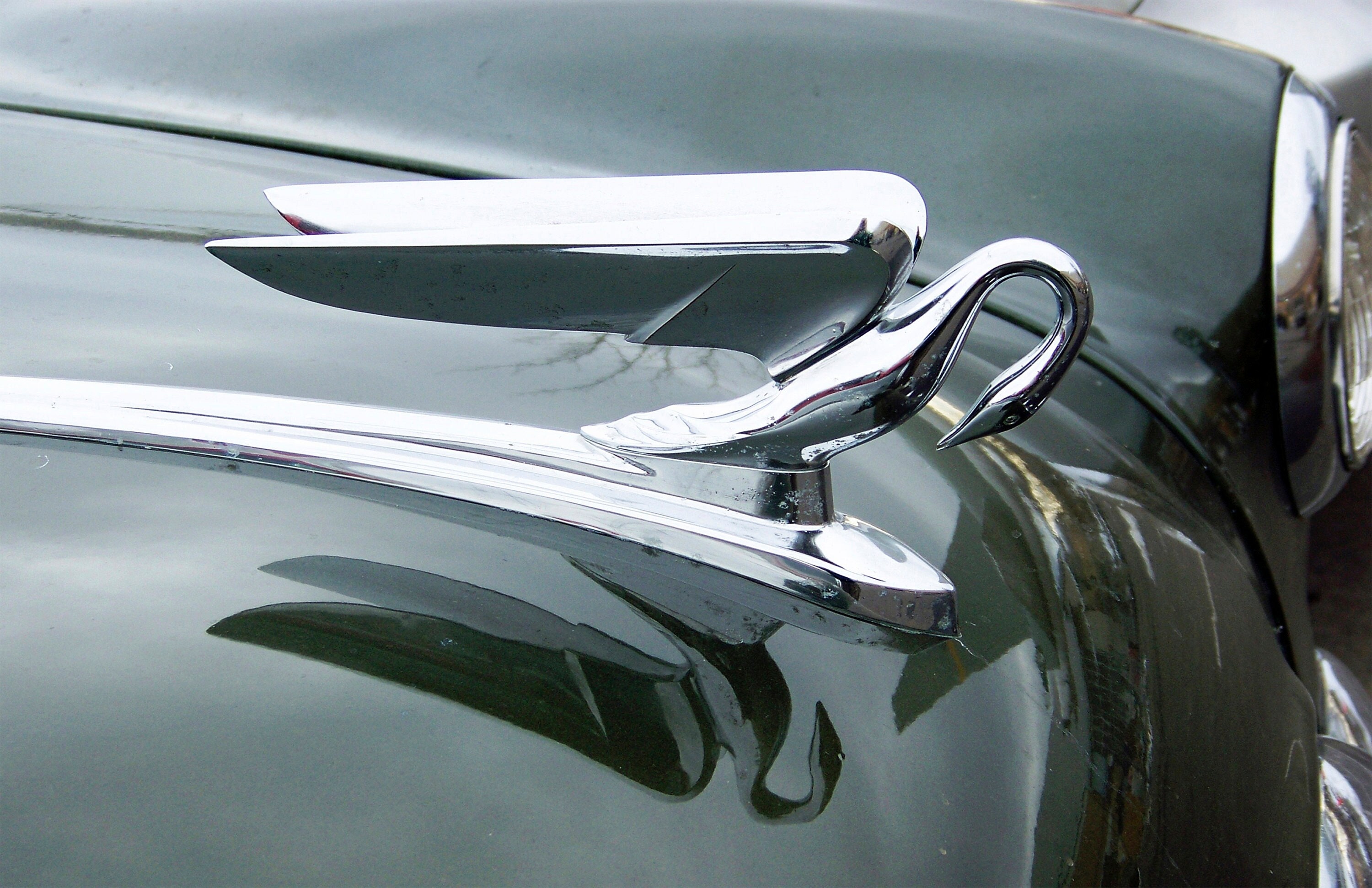 Vintage Packard With Swan Hood Ornament, Classic Car Image, 200dpi