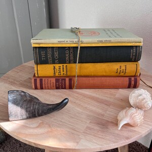 Op de afbeelding: Een stapel vintage boeken vastgebonden met touw op een licht houten tafel. De boeken hebben verschillende kleuren en titels, waaronder "The Discoveries in Crete" en "Ronald M. Burrows". Een decoratieve hoorn en schelpen zijn ook aanwezig.