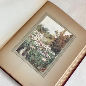 May include: An open antique book displays a framed watercolor painting of a field of white and purple flowers. The painting is set against a backdrop of trees and a cloudy sky. The book's pages are aged and the cover is a deep red.