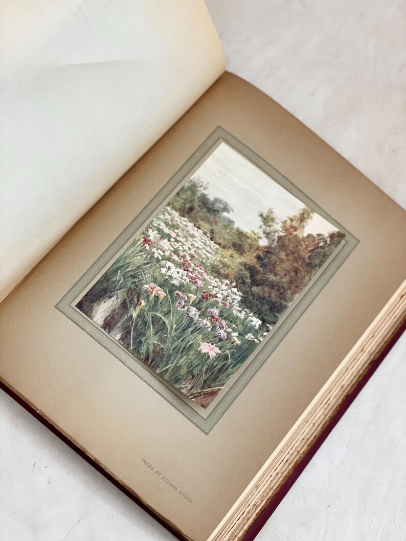 May include: An open antique book displays a framed watercolor painting of a field of white and purple flowers. The painting is set against a backdrop of trees and a cloudy sky. The book's pages are aged and the cover is a deep red.
