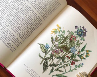 1947 Wild Flowers in Britain by Geoffrey Grigson