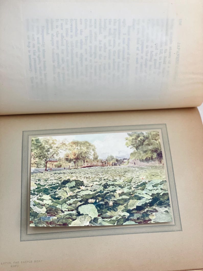 May include: A framed watercolor painting of a lotus pond with lily pads and white flowers. The background shows trees, a bridge, and a building under a light blue sky. The text at the bottom reads "LOTUS, THE CASTLE MOST KOFU."