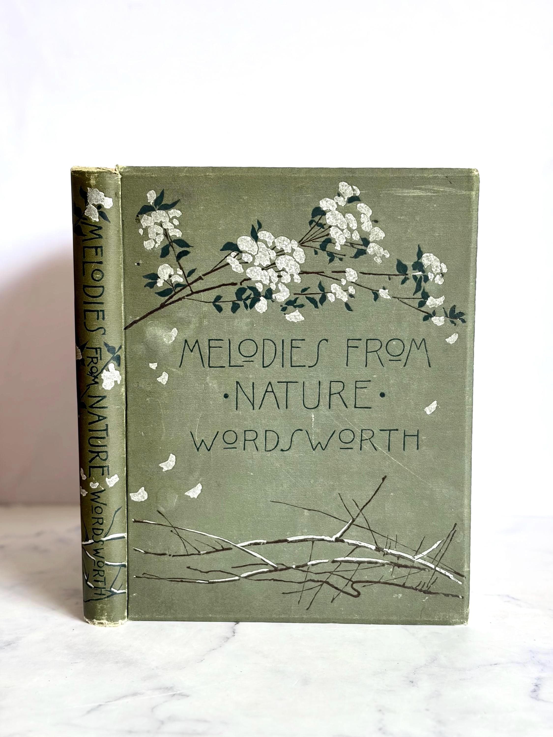 Antique 1889 Book - Etsy