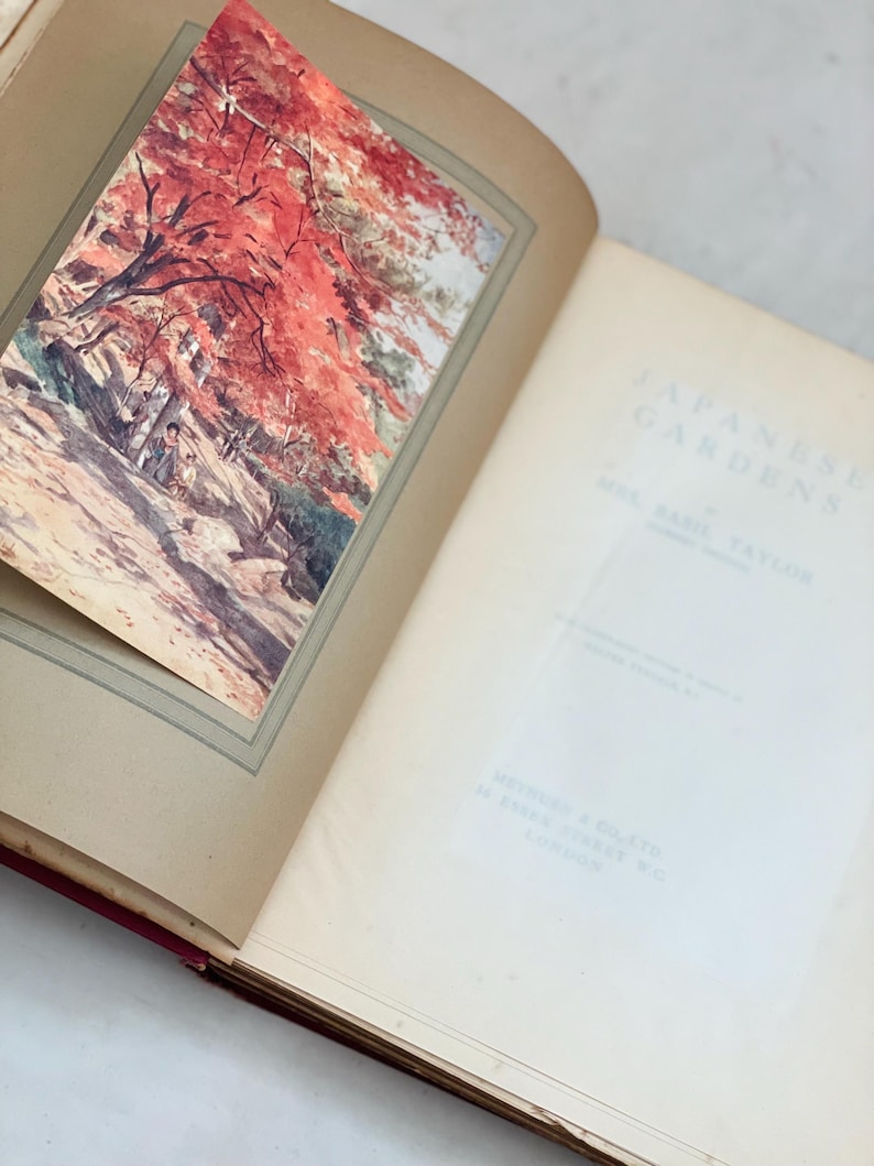 May include: Open book with a color illustration of a Japanese garden scene with red trees. The book's title page reads "Japanese Gardens" by Mrs. Basil Taylor. The book is open to a blank page.