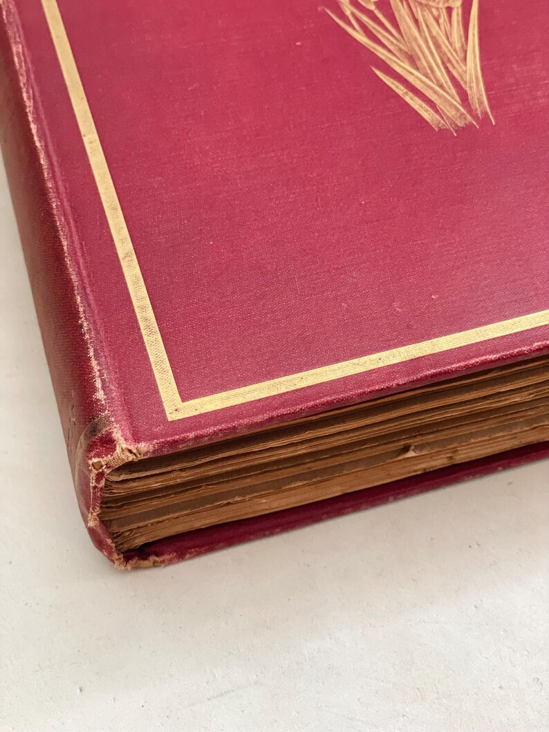 May include: Close-up of a vintage book with a burgundy cover and gold trim. The cover features a gold illustration of a plant. The pages are aged, and the corners show wear.