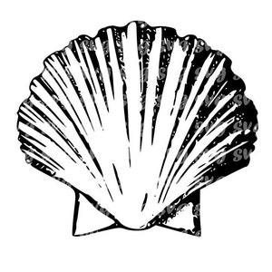 Seashell SVG Vector