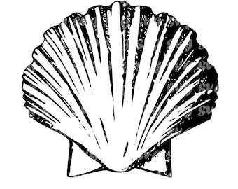 Seashell SVG Vector