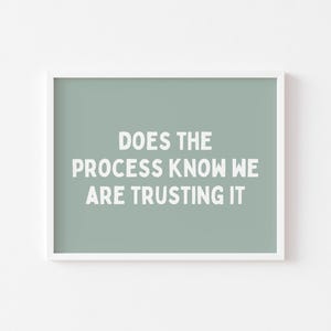 Op de afbeelding: Een ingelijste print met een witte rand. De print heeft een saliegroene achtergrond met de witte tekst: "DOES THE PROCESS KNOW WE ARE TRUSTING IT". Het kunstwerk wordt tegen een witte muur getoond.