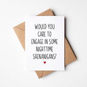 Carte d'anniversaire amusante - vous voudriez-vous vous engager dans des manigances nocturnes ?