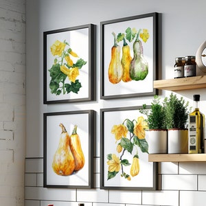 Watercolor Squash Kitchen Print set of 4, Squash Flowers Art Print, Squash Wall Art set of FOUR, Squash Printable Art, Veggie Wall Decor