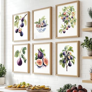 May include: A set of six framed watercolour paintings of figs, each with a different design. The paintings are hung on a white brick wall in a kitchen setting.