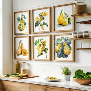 Watercolor Squash Kitchen Print set of 6, Squash Flowers Art Print, Squash Wall Art set of six, Squash Printable Art, Veggie Wall Decor