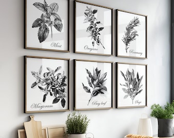 Dark Herbs Wall Art Set of 12, Black & white Sketch Herbs Vintage Art Print SEt of 12, Black Herbs Rustical Kitchen Herbalist  Wall Decor