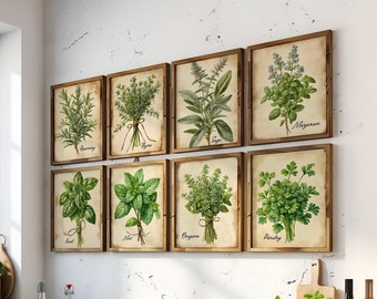 Vintage Watercolor Herb Art Print Set of 8, Old Paper Herb Branches Wall Art Set of Eight, Rustic Herb Poster, Herbalist Herb Gift PRINTABLE