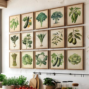 Pode incluir: Um balcão de cozinha com uma janela atrás. O balcão tem uma superfície de madeira e é decorado com uma variedade de plantas e vegetais. Há também várias impressões emolduradas na parede atrás do balcão, cada uma representando um tipo diferente de vegetal. As impressões são todas de estilo vintage e têm um fundo castanho claro.