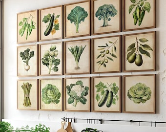 May include: A kitchen counter with a window behind it. The counter has a wooden surface and is decorated with a variety of plants and vegetables. There are also several framed prints on the wall behind the counter, each depicting a different type of vegetable. The prints are all in a vintage style and have a light brown background.