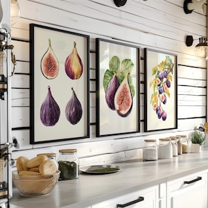 Watercolor Fig Art Print Set of 6, Botanical Fruits Kitchen Wall Decor (Digital Download)
