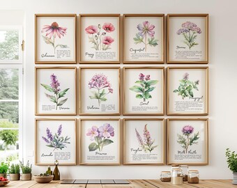 Botanical Pastel Herbs Art Print set of 3,6,8 or 12, Plant Medicine Healing Flowers Wall Art, Herbal Medicinal Plant Poster Free Shipping