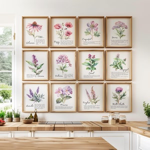 Botanische Pastell Kräuter Kunstdruck Set von 3,6,8 oder 12, Pflanzen Medizin Heilblumen Wandkunst, Kräuter Heilpflanze Poster Kostenloser Versand