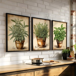 Erbe dell'acquerello vintage in vaso di argilla Stampa artistica Set di 3,6 o 8 Set di arte da parete di erbe di carta vecchia Cottagecore, Poster di erbe rustiche SPEDIZIONE GRATUITA
