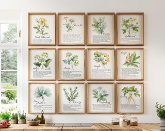 Botanical Pastel Herbs Art Print set of 3,6,8 or 12, Plant Medicine Healing Flowers Wall Art, Herbal Medicinal Plant Poster Free Shipping