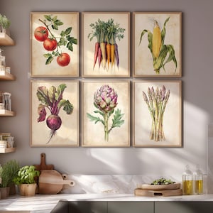 Pode incluir: Um conjunto de seis gravuras botânicas emolduradas com ilustrações de vegetais, incluindo tomates, cenouras, milho, uma beterraba, uma alcachofra e espargos. Cada gravura tem um fundo bege claro e uma moldura de madeira simples.