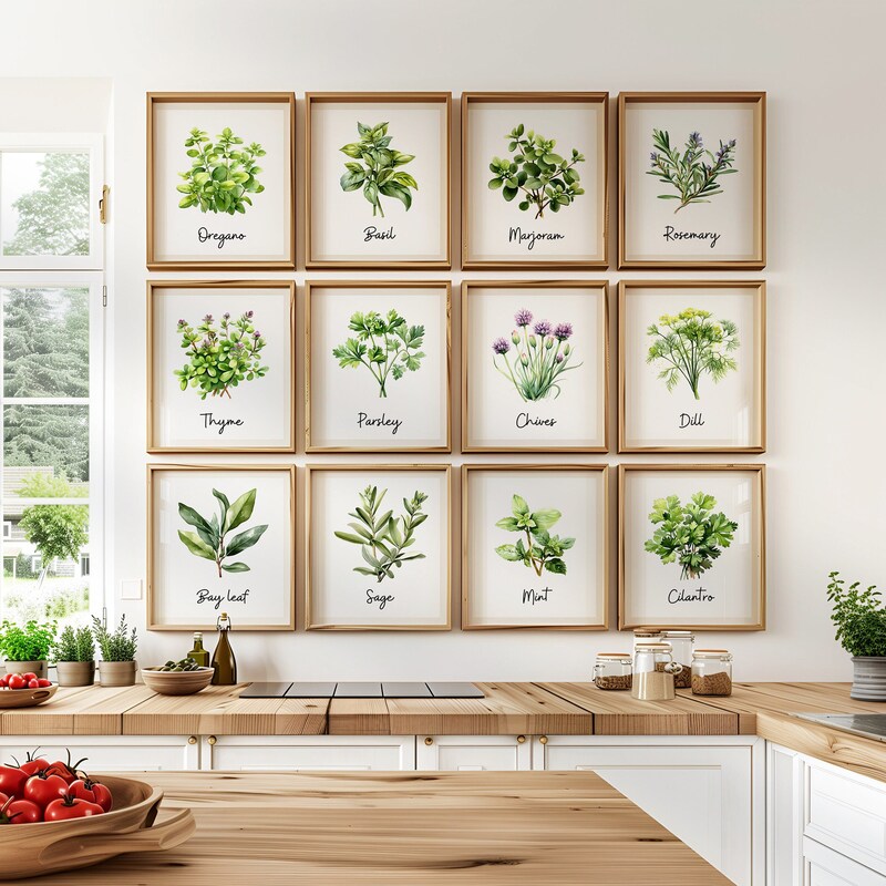 Kitchen Herbs - Etsy