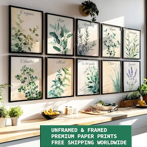 Set di stampe di erbe acquerellate moderne da 2, 4, 6, 8 o 12, Cottagecore Modern incorniciato senza cornice, carta da parati con erbe, decorazione da parete con erbe SPEDIZIONE GRATUITA