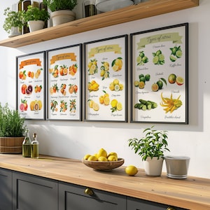 Citrus Types Art Print Set of 4, Citrus Chart Wall Art Set of Four, Watercolor Citrus Printable Art, Lemon  Lime Kitchen Fruit Wall Decor