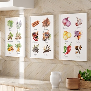 Aquarell Gewürze Print 3er-Set, Gewürze Guide 3er-Set Drucke, Gewürz Wand Kunst Kulinarisches Prints, Minimal Food Decor Gewürz Chart DRUCKBAR