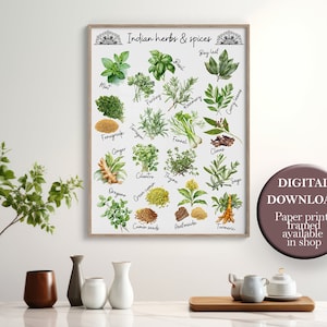 Watercolor Indian Food Print Kitchen Herbs Poster Asian Culinary Decor Desi Food Wall Art Printable Herbs and Spices Art Large Size 30x40