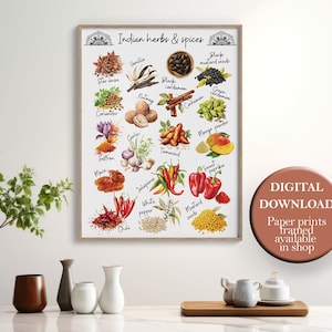 Affiche aquarelle de cuisine indienne, impression d'épices pour cuisine, décoration culinaire asiatique, art mural cuisine desi, imprimable herbes et épices, grande taille, 30 x 40