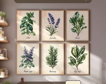 Retro väggkonstset med örter | Botaniska kökstryck | Bygg din egen vägg inramat eller oramat galleri | Anpassad lantlig matsaldekor