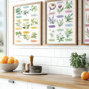 Set di 3 stampe di erbe medicinali ad acquerello, arte murale moderna minimalista boho pastello, set di arte murale di erbe con cornice senza cornice